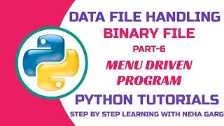 Binary File Handling in Python✅ | Menu Driven Program for Class 12 CBSE IP/CS 
