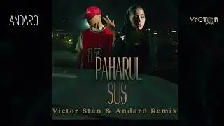 Nicole Cherry feat. Puya - Paharul Sus (Victor Stan & Andaro Remix)