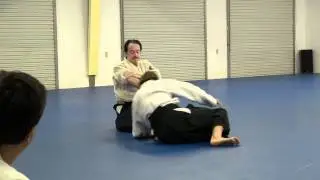 Aikido Sensei Michael Moreno Ryote dori zaho swari waza.