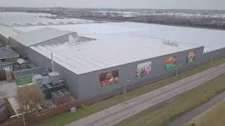KG Systems - Tulips movie