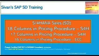 16 Columns in SAP ECC Pricing | 18 Columns in S4HANA Pricing Procedure | Sivan's SAP SD Training