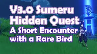 [V3.0 Sumeru Hidden Quest] A Short Encounter with a Rare Bird  | Walkthrough