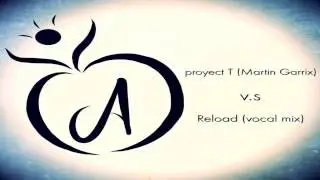 Reload (Original Vocal Mix) /  Project T (Martin Garrix Remix) - ALEX (mashup)