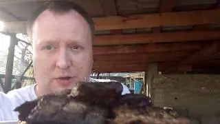 Нальчик! Карп на Мангале!