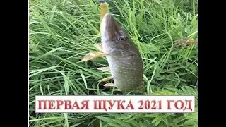 Первая щука 2021 год июль рыбалка на спиннинг.