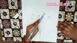 How to draw chota bheem ?