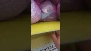 #thehelpinghandchallenge