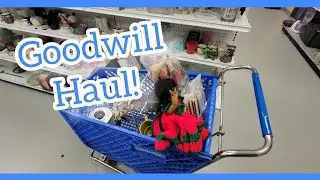 Goodwill Haul to Flip For Profit