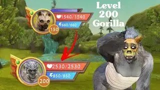 🦍150-200 Gorilla ~ No multiplayer ❌