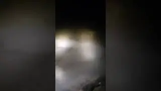 Слив отходов производства в Оку с тырновского молокозавода