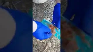 Нашли фотку женщины на кладбище.