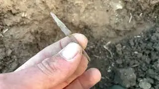 Не всегда надо ехать далеко от ДОМА за находками! находки всегда рядом