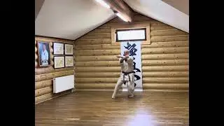 #karate #hanshi #kyokushinkarate #kyokushin #yakunin #martialarts