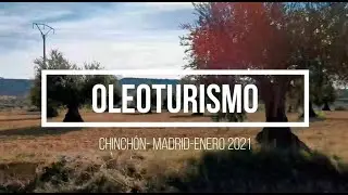 OLEOTURISMO EN MADRID CON MAR LUNA
