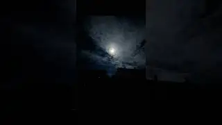 что это?