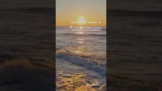 Мир IT часть 7