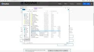 How to install your KeyShot software