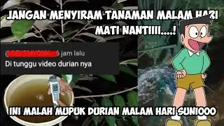 Dosis Dan cara aplikasi Jakaba Asam Amino dan Nitrobacteria pada tanaman Durian Vase Vegetatif