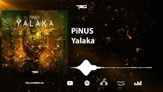 PiNUS - Yalaka