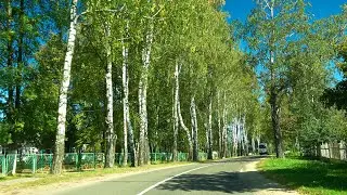Поездка по деревне Лужесно, Тетёрки, Верховье, Руба 2023