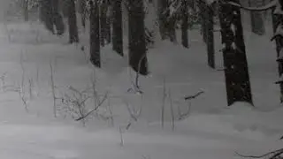 Встреча с "Перевязоным"