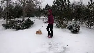 Зимняя Анапа 🥶🥶😱