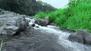 Live Relaxing Water Sounds – Calming Nature Ambience for Deep Sleep & Stress Relief