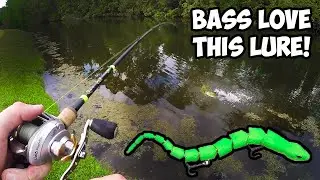 Do Bass Actually Eat SNAKES?? | Topwater SNAKE Bass Fishing Lure!