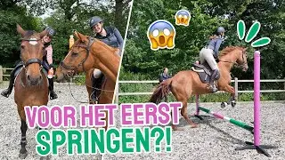 HET BEGIN IS ER WEER! Oefeningen met Shrimpi! || Vlog #321