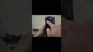 Como ocultar mi foto de perfil de WhatsApp?