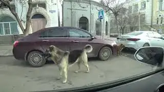 Перешли в Яндекс еду
