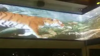 Videomapping @ 7 dreams restaurante 2017