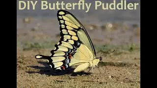 DIY Butterfly Puddler