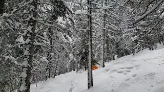 Kain meet tree