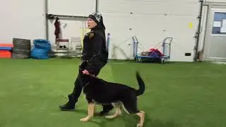 Шерхан 08.01.22