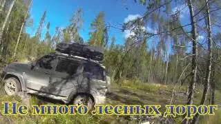 Дороги Архангельская область