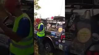 Приехали на болото.