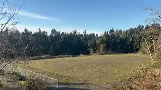 calming scenery 1 minute if you need it