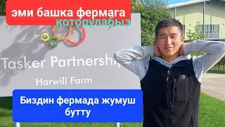 Англияда башка жумушка которулуу #англия #жумуш #ош #бишкек #кыргызстан #тезкабар #европа