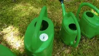#ЗаПриродата 🍀 Малки и големи се включиха в инициативата “Посади дръвче – дари живот”