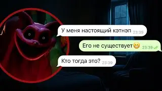 проклятие кота дремота в реальной жизни