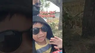 Dede nafis Lagi Ngvlog di Sawah 😁 #shorts #subscribe