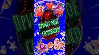 Привет моё солнышко ❤️ 