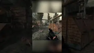 S.T.A.L.K.E.R. GAMMA - СОБАКА ТРАМПЛИН