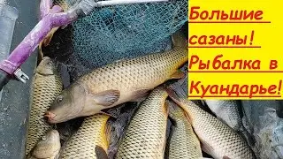 Рыбалка Куандарья! Қуандарияда балық аулау!