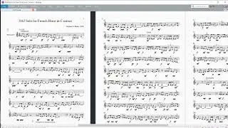 3163 Solo for French Horn in C minor