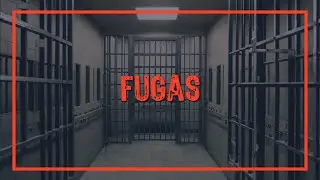 T5. E19: Fugas