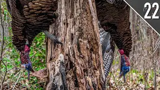 DOUBLED UP With The Single Shot! CRAZY ACTION ON VIRGINIA PUBLIC LAND