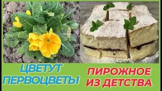 РАССАДА ПОДОЖДЕТ / БИСКВИТНОЕ ПИРОЖНОЕ С ЯГОДАМИ / ОБРАБОТКА САДА