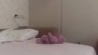 Пушок мыш и машины 🗼✈🐀😁💎